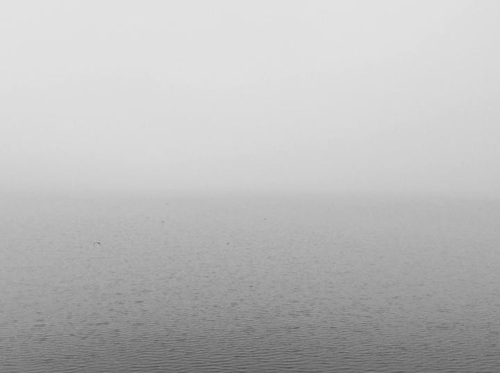 12238075_795936073850467_1680300968243694311_o